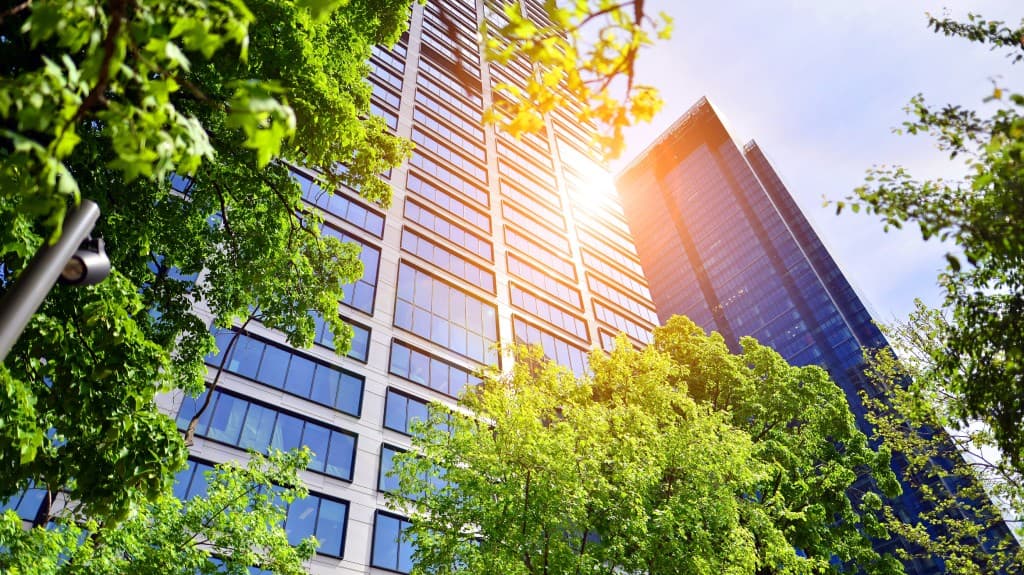 Corporate services background